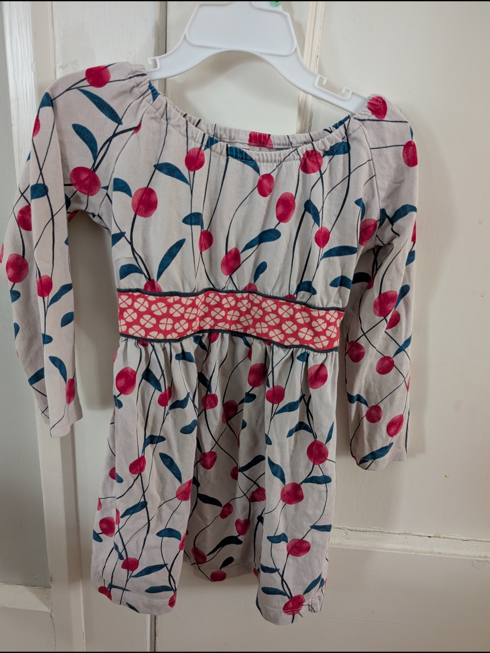 Tea Collection Toddler 4T Long sleeve Dress